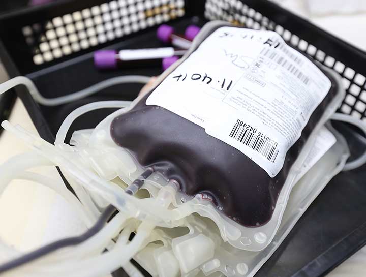 Blood Transfusions for pets