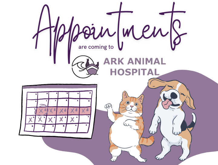 Important Updates | Ark Animal Hospital